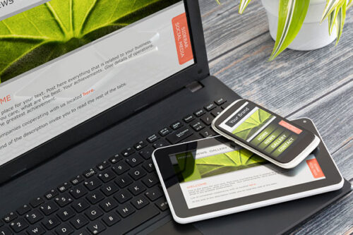 
                5 Reasons You Need a Responsive Web Design