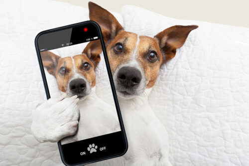 
                25 Social Media Post Ideas for Your Association
